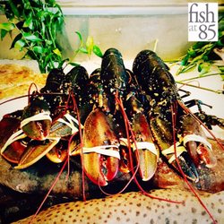 Fish At 85