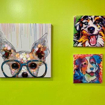 HipPups - Pet Groomers Near Me - Flower Mound, Texas