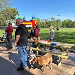 Puppy Playground