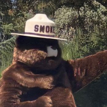 Garden Valley - Smokey the Bear - rare live appearance. He's dancing about, he's so happy. - Parks Near Me - Garden Valley, California
