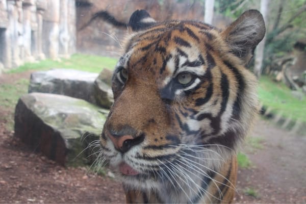 Bioparc Fuengirola by null