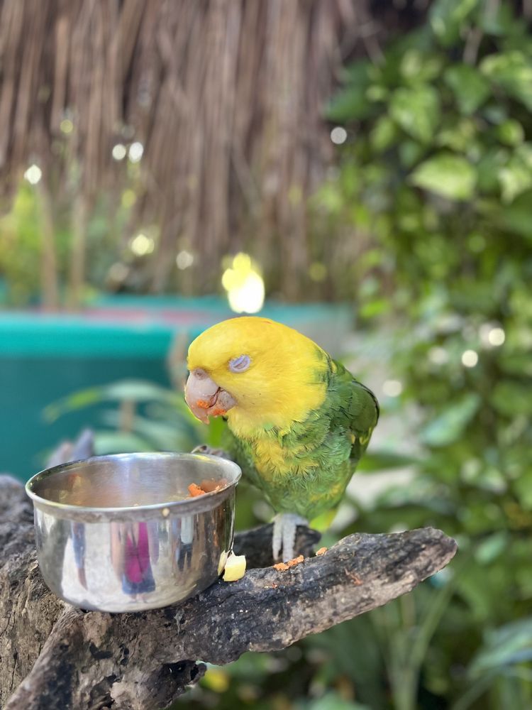 CROCOCUN ZOO Updated September 2024 89 Photos & 44 Reviews Carr