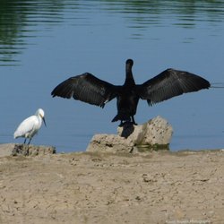 Lake Arbor Community Park