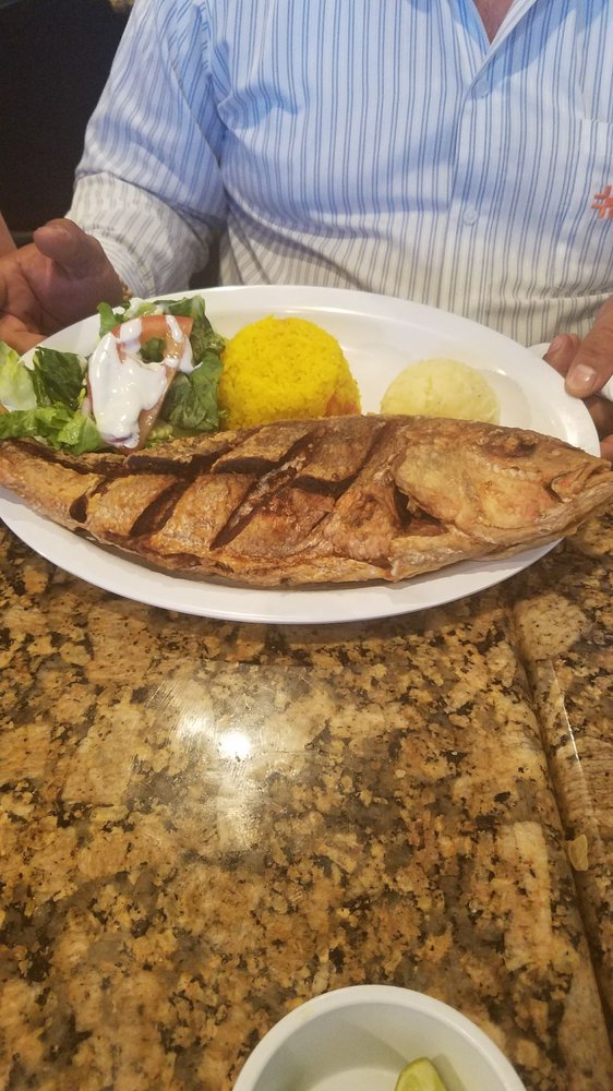 Los Colegas 2019 All You Need to Know BEFORE You Go (with Photos