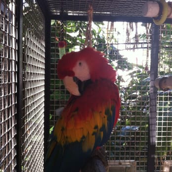 Nancy Forrester's Secret Garden - Animal Shelters Near Me - Key West, Florida
