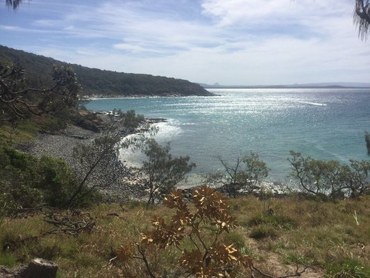 Noosa National Park by null