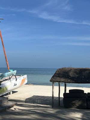 Casa Las Tortugas by null