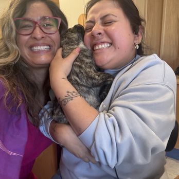 Modern Animal Studio City - Little Ko'Olina and Bella LOVE !!! - Veterinarians Near Me - Los Angeles, California Modern Animal Studio City - Little Ko'Olina and Bella LOVE !!! - Veterinarians Near Me - Los Angeles, California