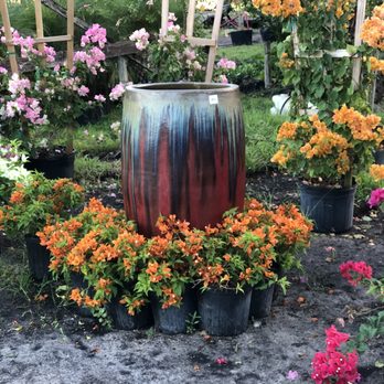 All About Gardens Nursery - Nurseries & Gardening Near Me - Davie, Florida
