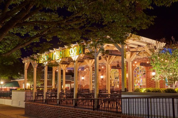 Mellow Mushroom Williamsburg by null