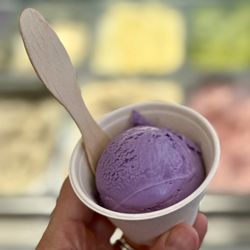 Garden Creamery - Ube pandan
