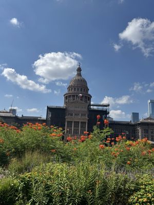 Texas Capitol by null Texas Capitol by null