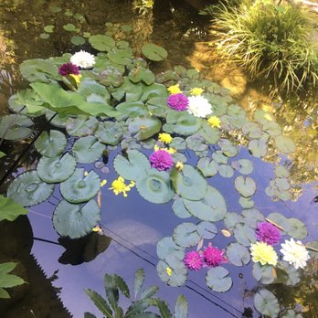 The Sacred Space - How pretty is this?!? - Art Galleries Near Me - Summerland, California The Sacred Space - How pretty is this?!? - Art Galleries Near Me - Summerland, California