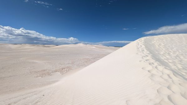 Lancelin Sand Dunes by null