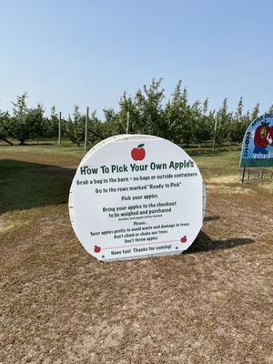 Apple Jack Orchards by null