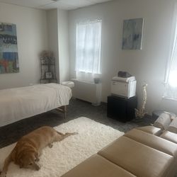 Dr Ginger Lowe - Treatment room (and Steve, our loyal therapy pup)