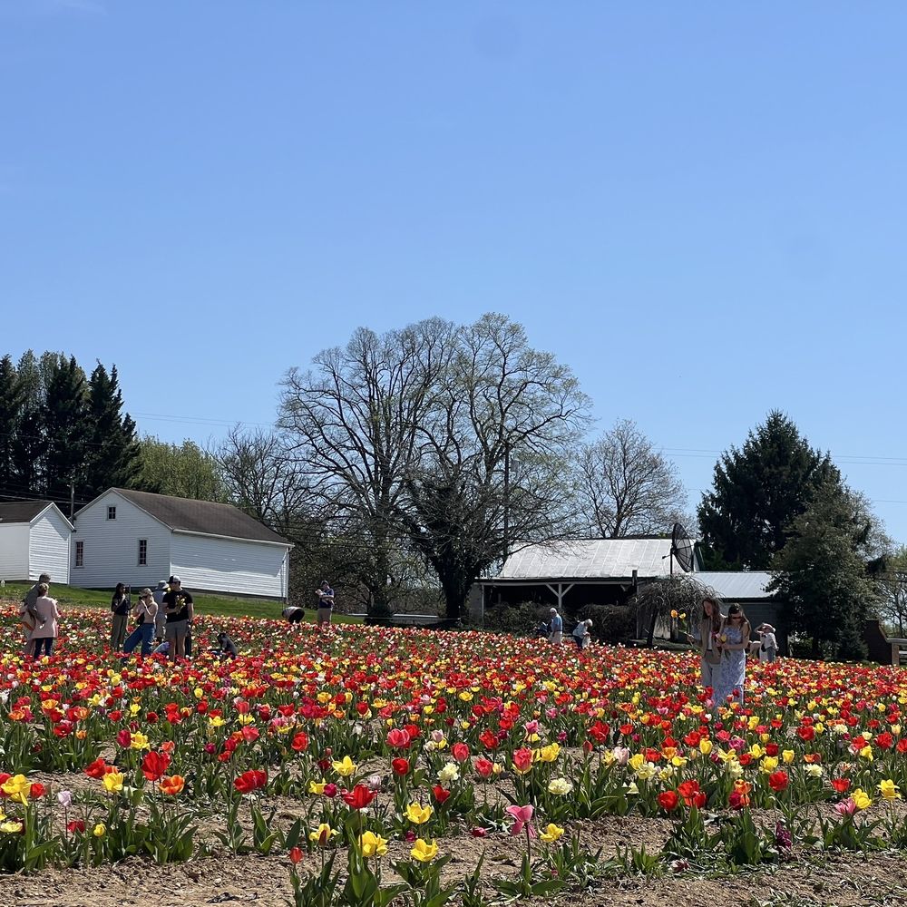 Local Homestead Products - Farmers Market Near Me - New Windsor, Maryland