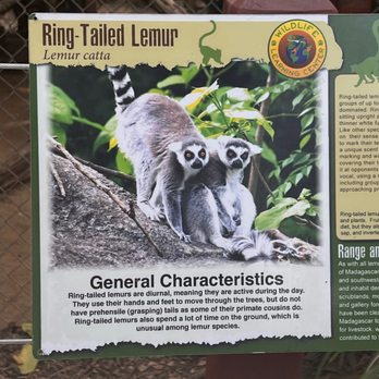 Wildlife Learning Center - Zoos Near Me - Sylmar, California