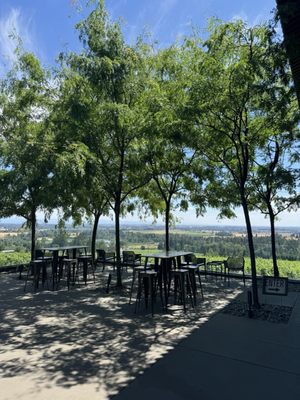 Furioso Vineyards by null