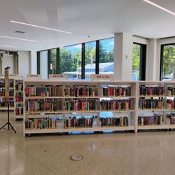 Mary Cheney Library - New Fiction books
