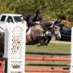 Santerre Show Stables