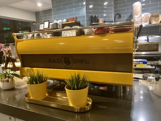 Bad Owl Coffee Roasters - Downtown by null