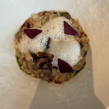Le Jardinier - Carolina gold rice risotto, roasted red pepper, mistake mushrooms, mimolette - French Near Me - Houston, Texas Le Jardinier - Carolina gold rice risotto, roasted red pepper, mistake mushrooms, mimolette - French Near Me - Houston, Texas