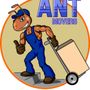 Photo of Ant movers