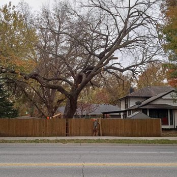 Sammy D’s Tree Service - Tree Services Near Me Sammy D’s Tree Service - Tree Services Near Me