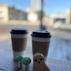 Blue Owl Coffee