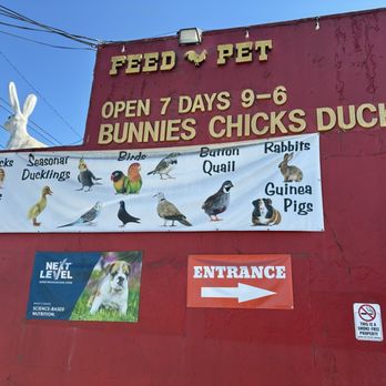 Blacksmith's Corner - Unfortunately, they did not have guinea pigs - Pet Stores Near Me - Bellflower, California