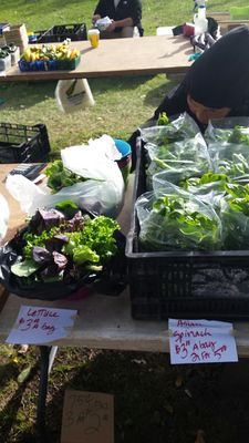 Riverwest Farmers Market by null