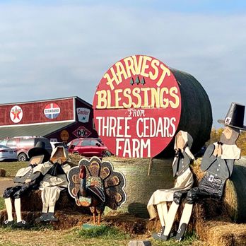 Three Cedars Farm - Christmas Trees Near Me - Northville, Michigan Three Cedars Farm - Christmas Trees Near Me - Northville, Michigan