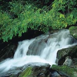 Great Oak - Great oaks water company