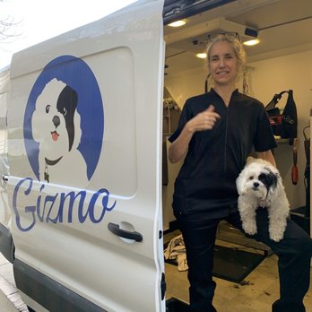 Gizmo Pet Spa - Gizmo! Hahaha and Gizmo! So cute! - Pet Groomers Near Me