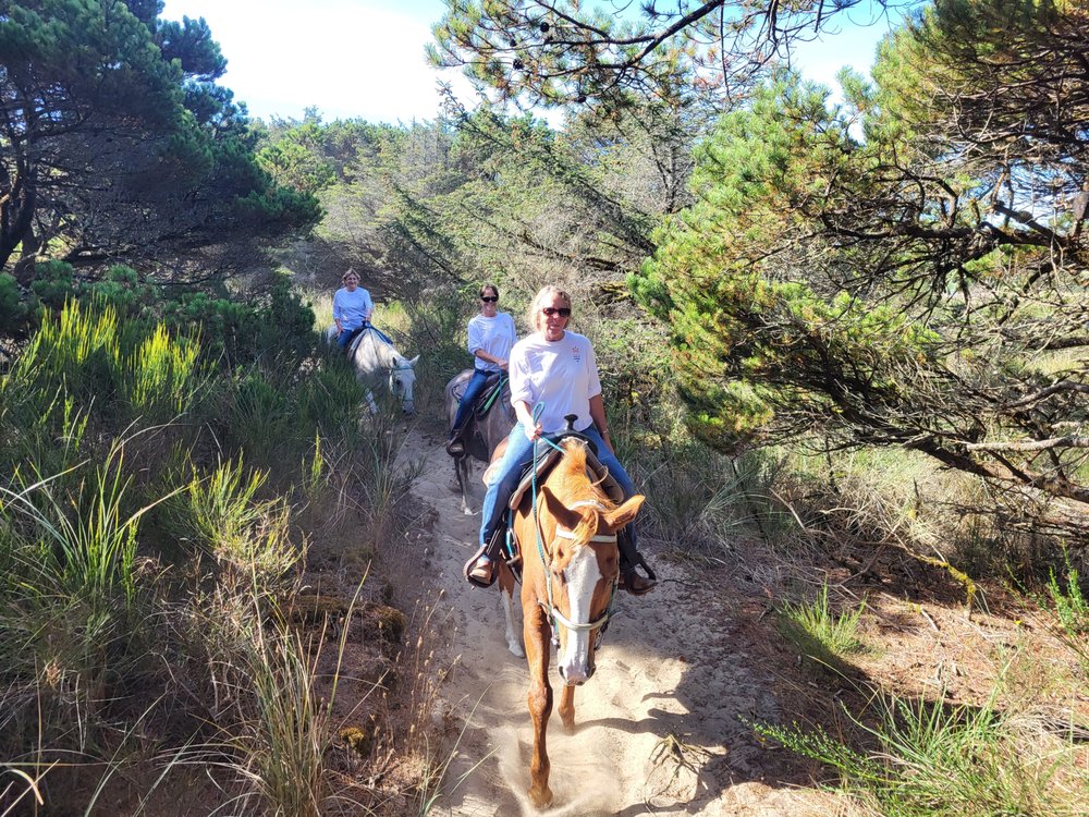 Twin Creeks Beach and Trail Rides Logo
