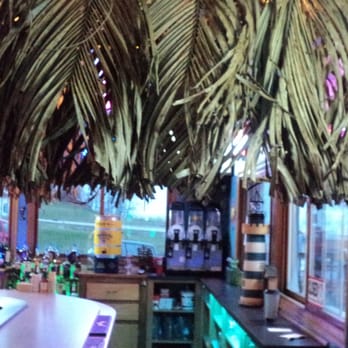 Smashed On The Rocks Saloon - Palm leaves around the bar. - Pubs Near Me - Algoma, Wisconsin Smashed On The Rocks Saloon - Palm leaves around the bar. - Pubs Near Me - Algoma, Wisconsin