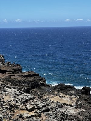 Nakalele Blowhole by null