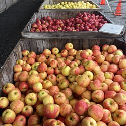 Yonder Farms - apples
