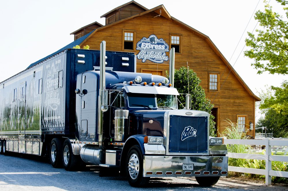 EXPRESS CLYDESDALES 32 Photos Attraction Farms 12701 W Wilshire