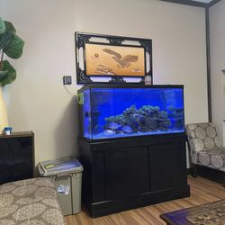 Lobby Area