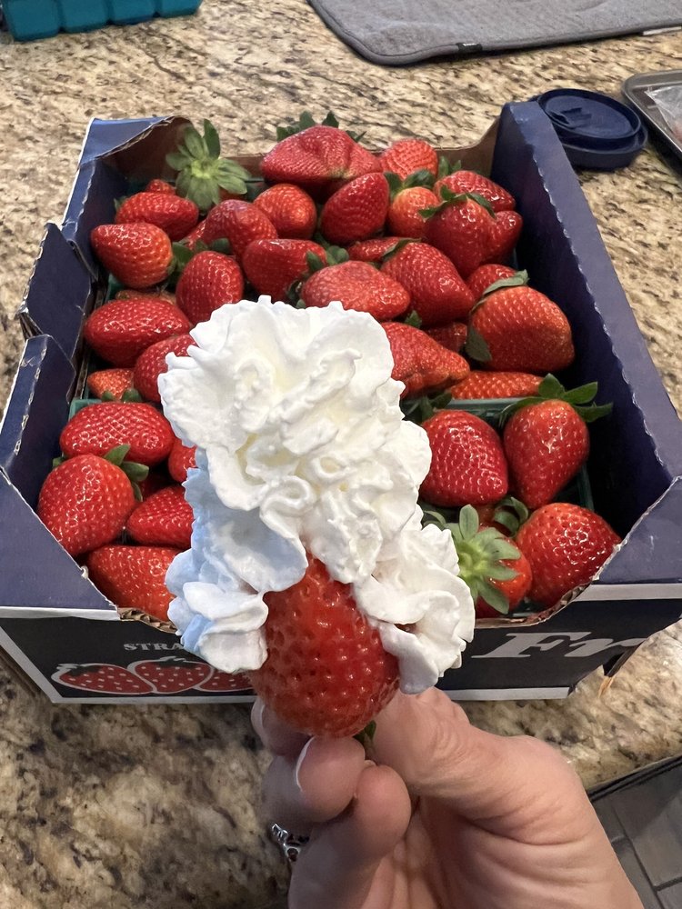 Yummy Farms Logo