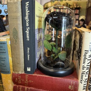 Papercut Books - Bookstores Near Me - Wilmington, North Carolina Papercut Books - Bookstores Near Me - Wilmington, North Carolina
