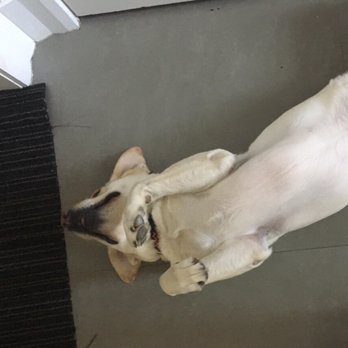 Slide of A & J Backflow Testers