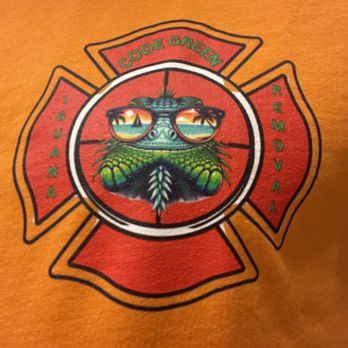 Code Green Iguana Removal - Wildlife Control Near Me Code Green Iguana Removal - Wildlife Control Near Me