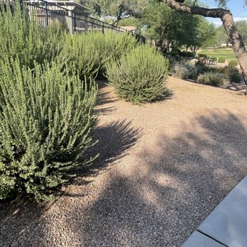 Vision Community Management - Property Management Near Me - Phoenix, Arizona Vision Community Management - Property Management Near Me - Phoenix, Arizona