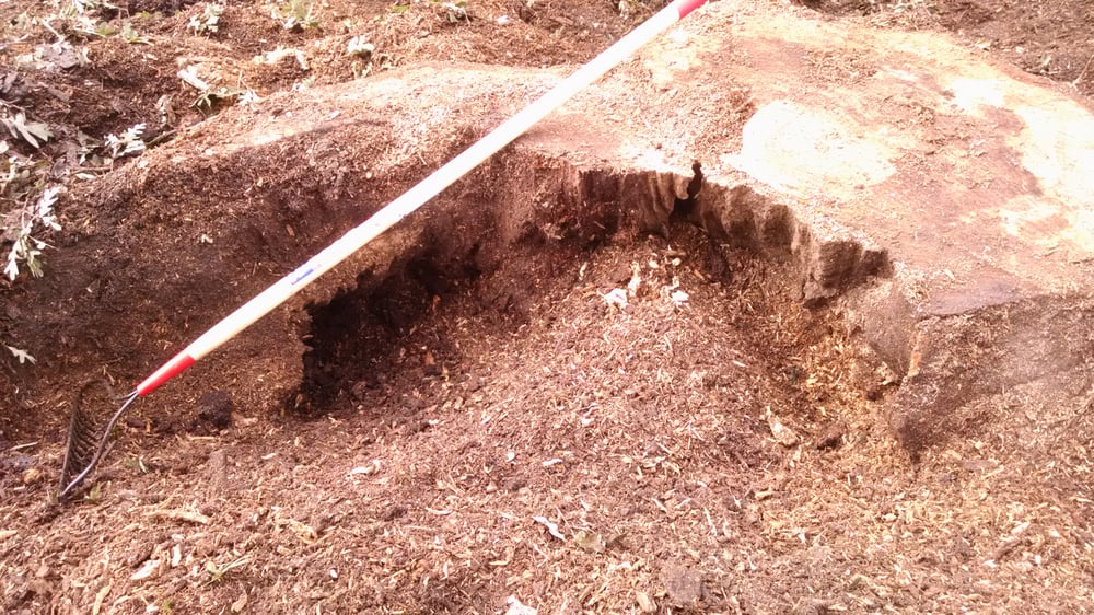 Cutting Edge Tree Service - tree service in Norfolk, VA