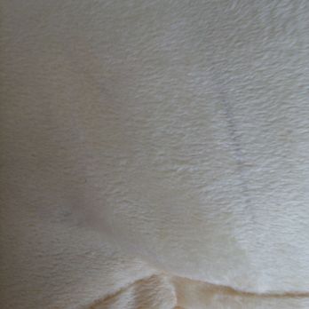 Walmart - Tire marks on the cushion - Department Stores Near Me - Bentonville, Arkansas