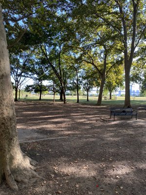 Penn Treaty Park by null