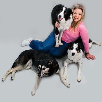 Pam's Dog Academy - Pet Training Near Me - San Diego, California Pam's Dog Academy - Pet Training Near Me - San Diego, California